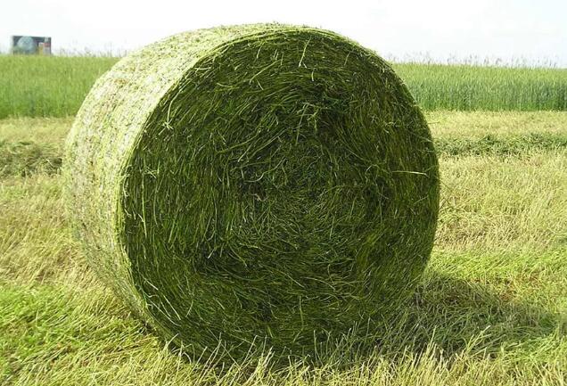 silage stretch wrapping film